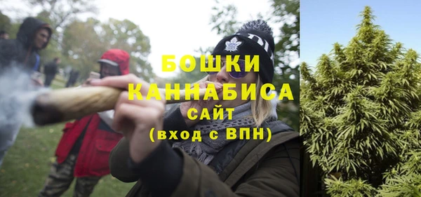 гидропоника Горнозаводск