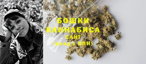 дурь Горно-Алтайск