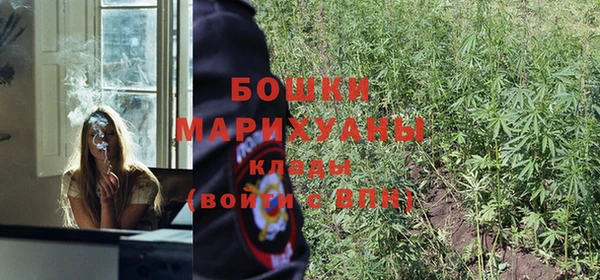 дурь Горно-Алтайск
