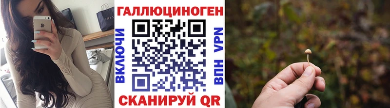 Галлюциногенные грибы Psilocybine cubensis  хочу   нарко площадка наркотические препараты  Долгопрудный 